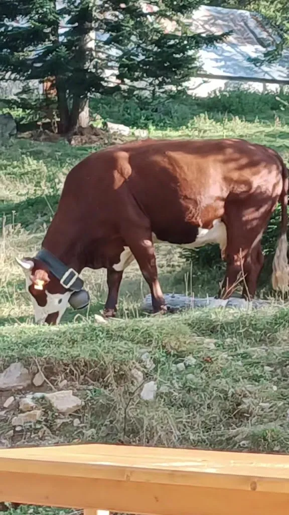 Restaurant L'alpage_Saint-Martin-Vésubie_slider_image_2