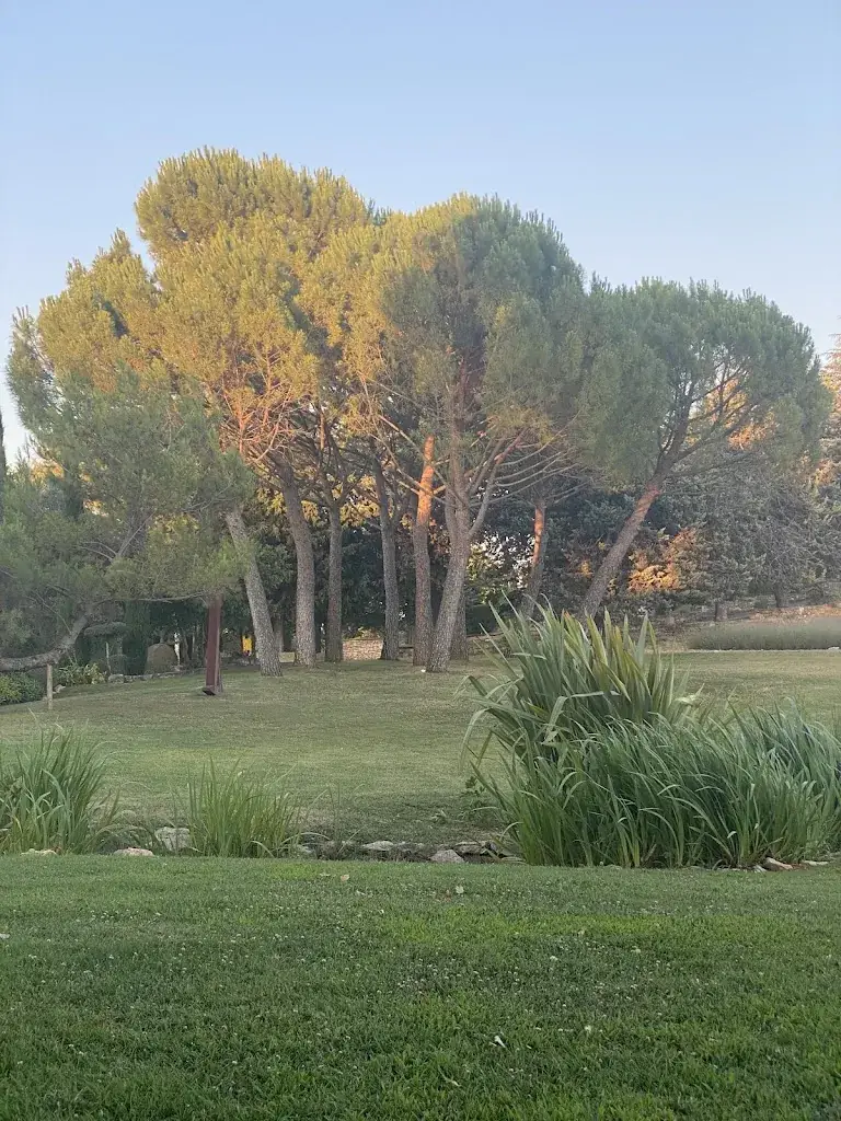 Ann Taylor_Le Platane des ANDEOLS_Saint-Saturnin-lès-Apt_recensione