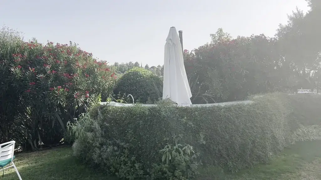 Le Platane des ANDEOLS_Saint-Saturnin-lès-Apt_slider_image_2