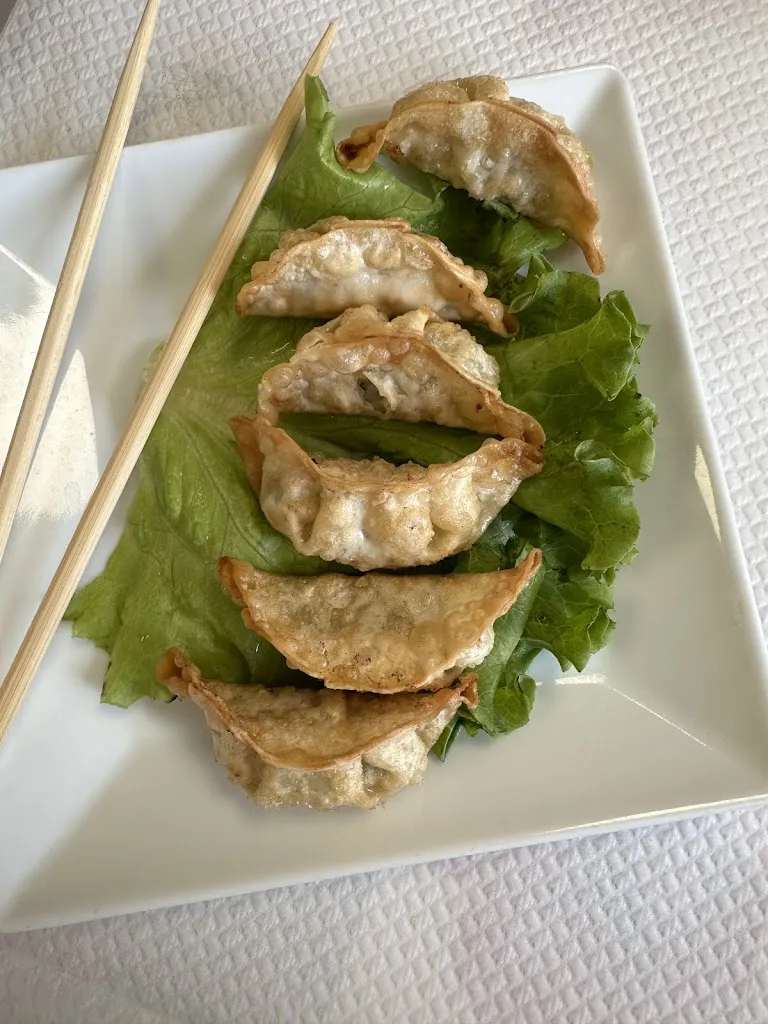 Menu_Restaurant Ô Viet-Nam_Saint-Martin-de-Crau_image_7