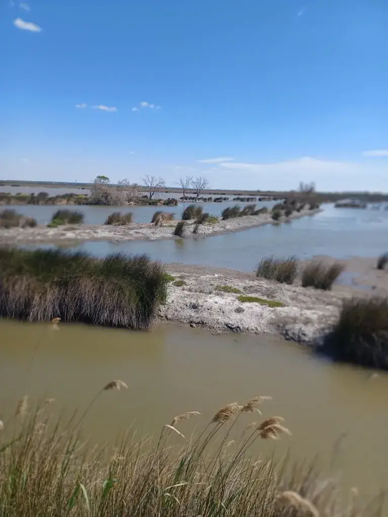 La Camarguaise_Saint-Martin-de-Crau_slider_image_3