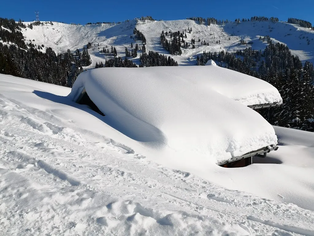 Marie P_Le Chalet des Tronchets_Arâches-la-Frasse_review