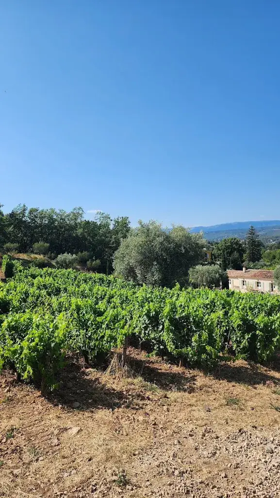 Rachel Sweetman_Le Comptoir de la Font des Pères_Sanary-sur-Mer_review