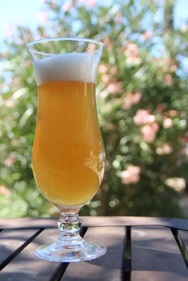 Menu_Brasserie La Benouz à Sarrians_Sarrians_image_2