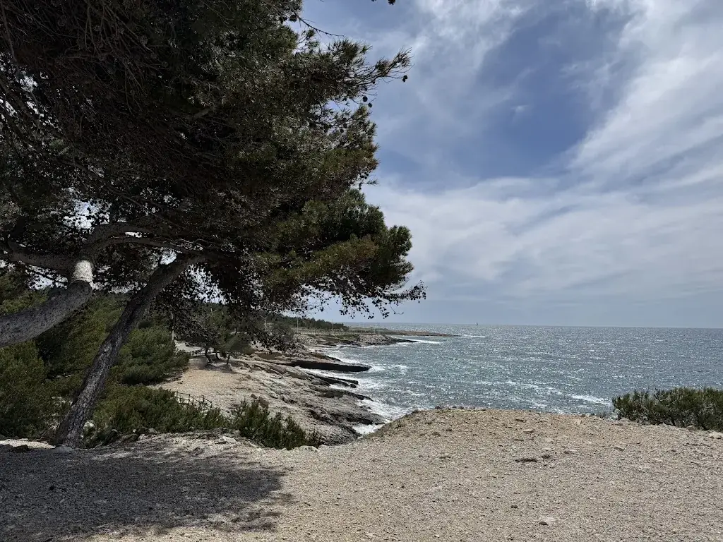 Lydia Delahaye_La Calanque Bleue_Sausset-les-Pins_review