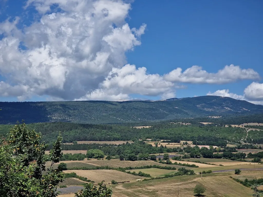 Zhivko Zhelyazkov_Restaurant O Pichoun_Sault_recensione