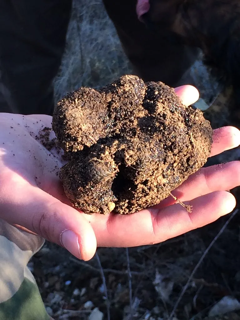 Restaurant O Pichoun_Sault_slider_image_3