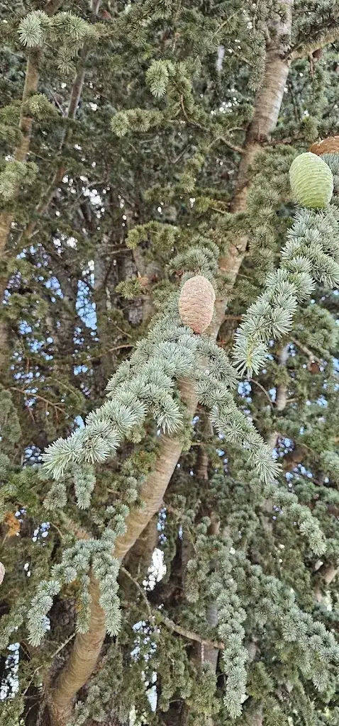 LeAnn Lemmons_Ferme auberge La Maguette_Sault_review