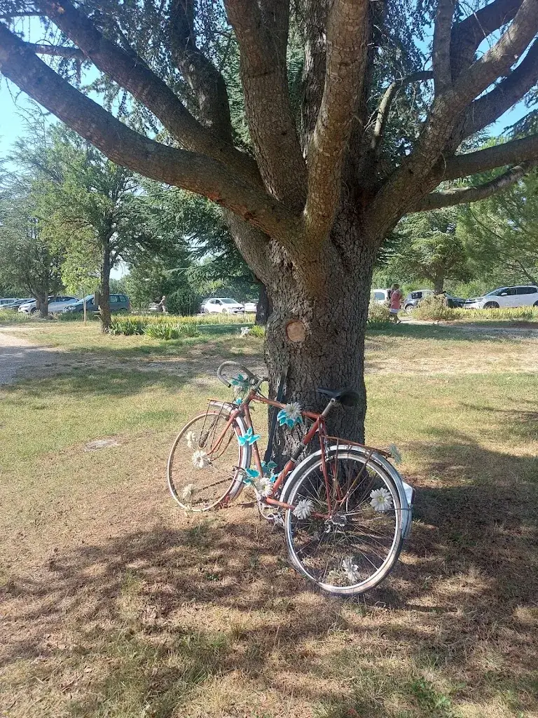 sandrine chassaing_Ferme auberge La Maguette_Sault_review