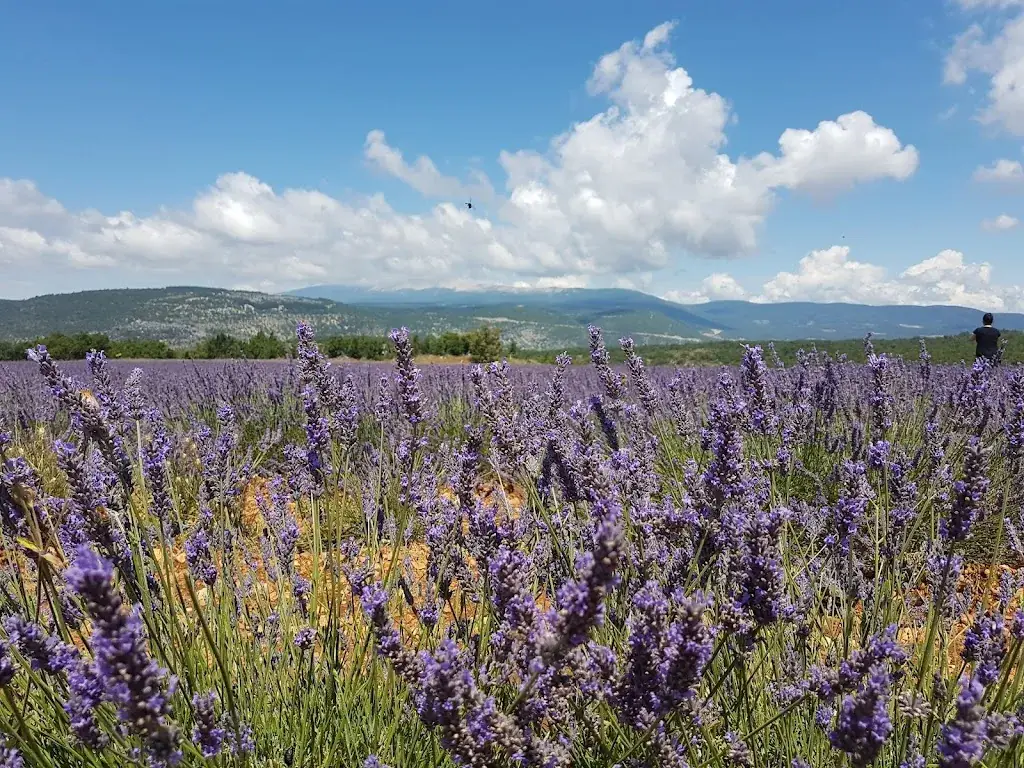 Ferme auberge La Maguette_Sault_slider_image_3