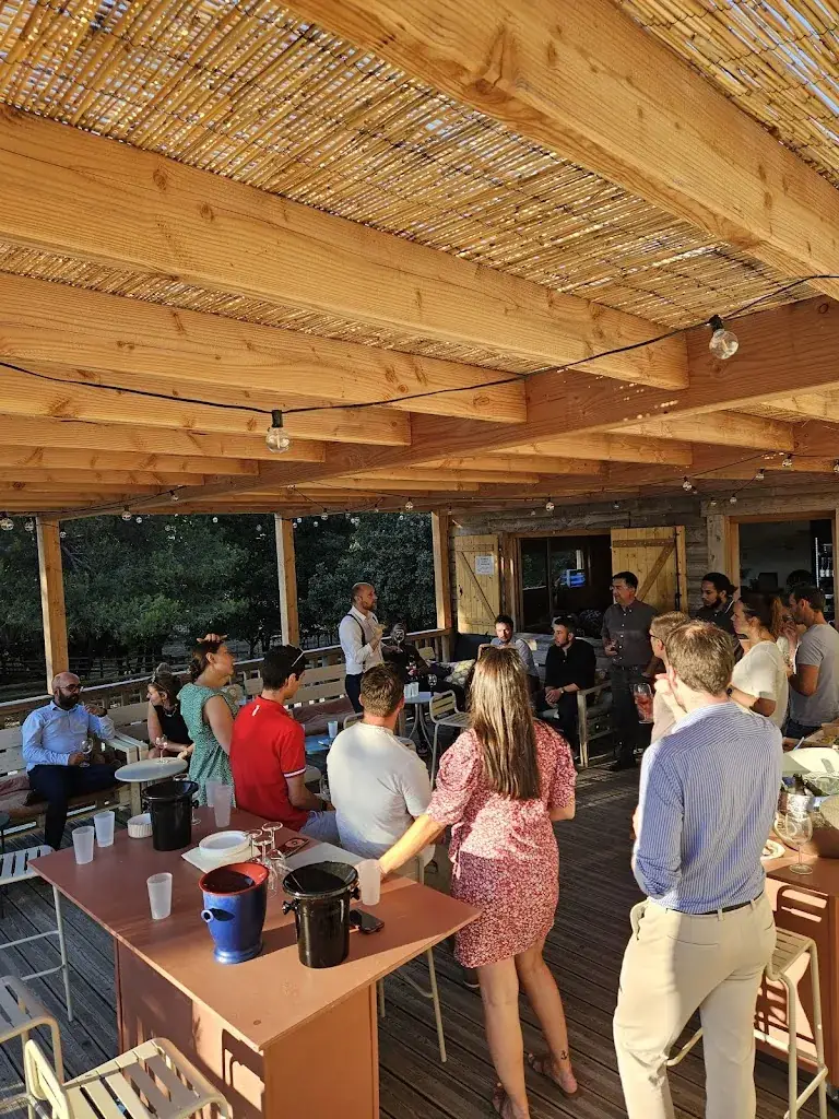 Mimosa_Simiane-Collongue_slider_image_2