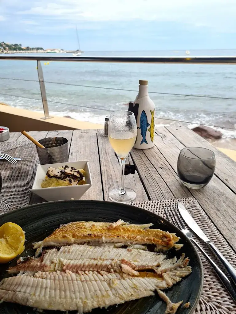 Menu_Les Planches SAINTE-MAXIME_Sainte-Maxime_image_7