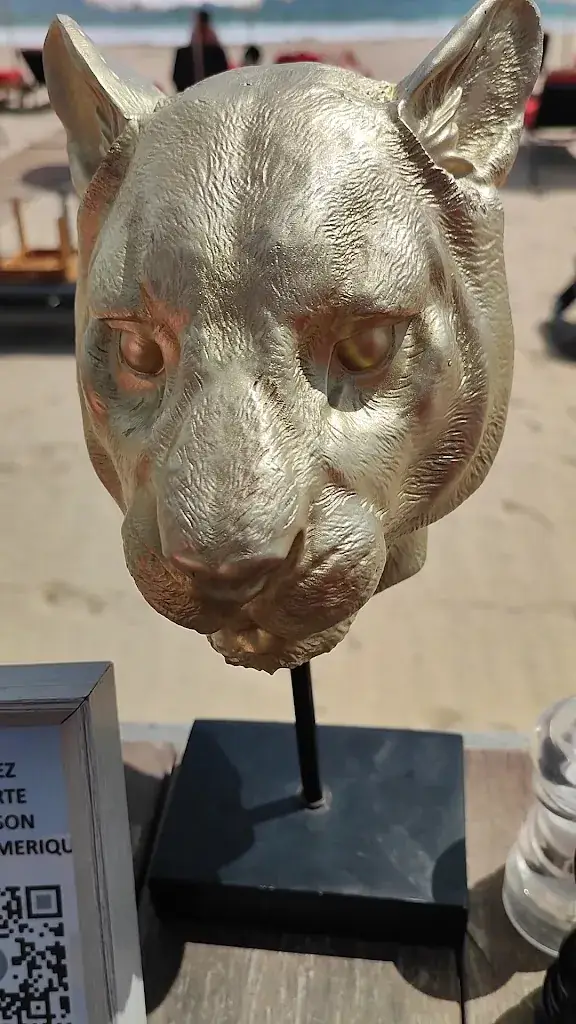 Mahi-plage_Sainte-Maxime_slider_image_2