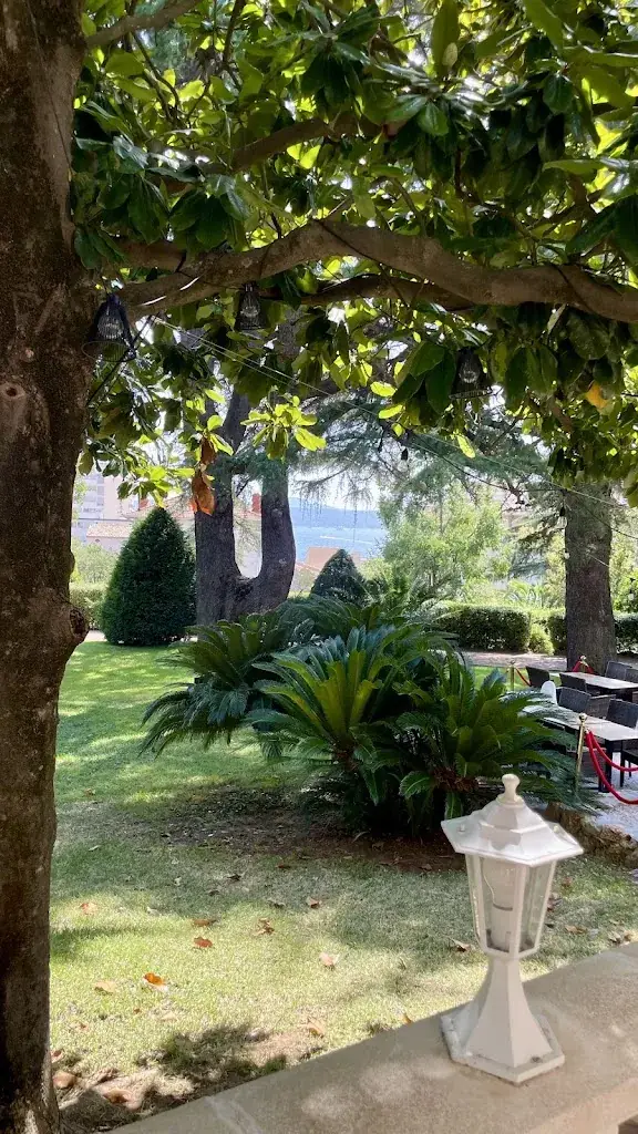 Owlflight — Explorateur d’émotions !_Restaurant le Festival_Sainte-Maxime_recensione