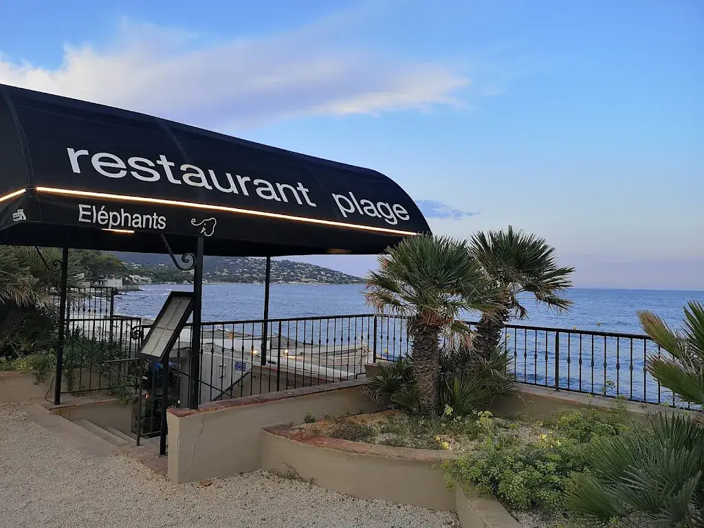 Plage Les Élephants restaurante en Sainte-Maxime