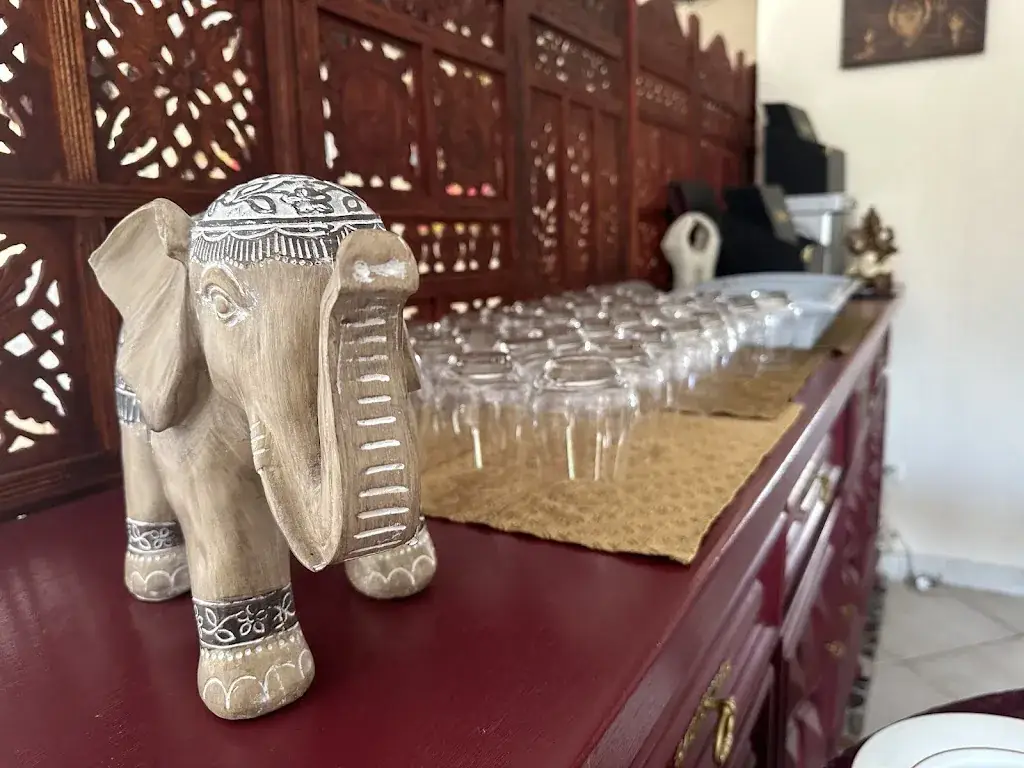 Jindi Singh_Le Maharaja_Portes-lès-Valence_review