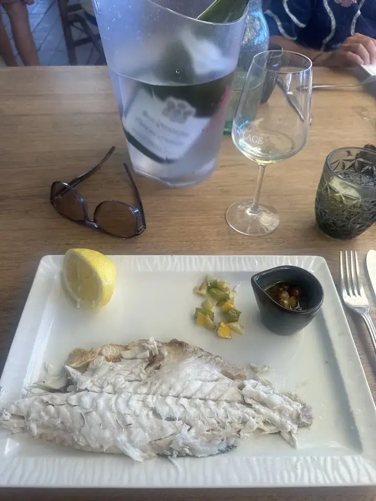 Saar Lathouwers_Le WYC_Sainte-Maxime_review