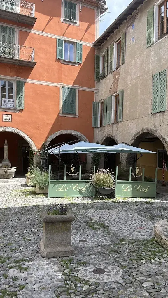 Betsy Waters_Le Cerf_Sospel_review