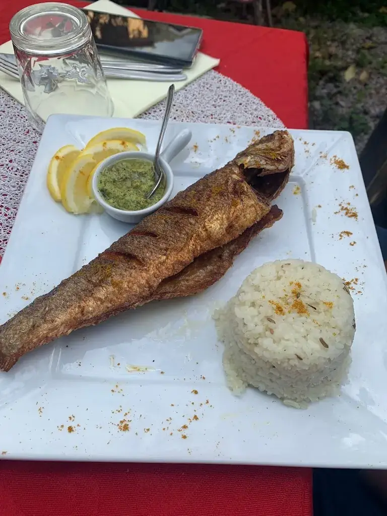 Selva Senthil_La BÉOUA d’Afi_Sospel_review