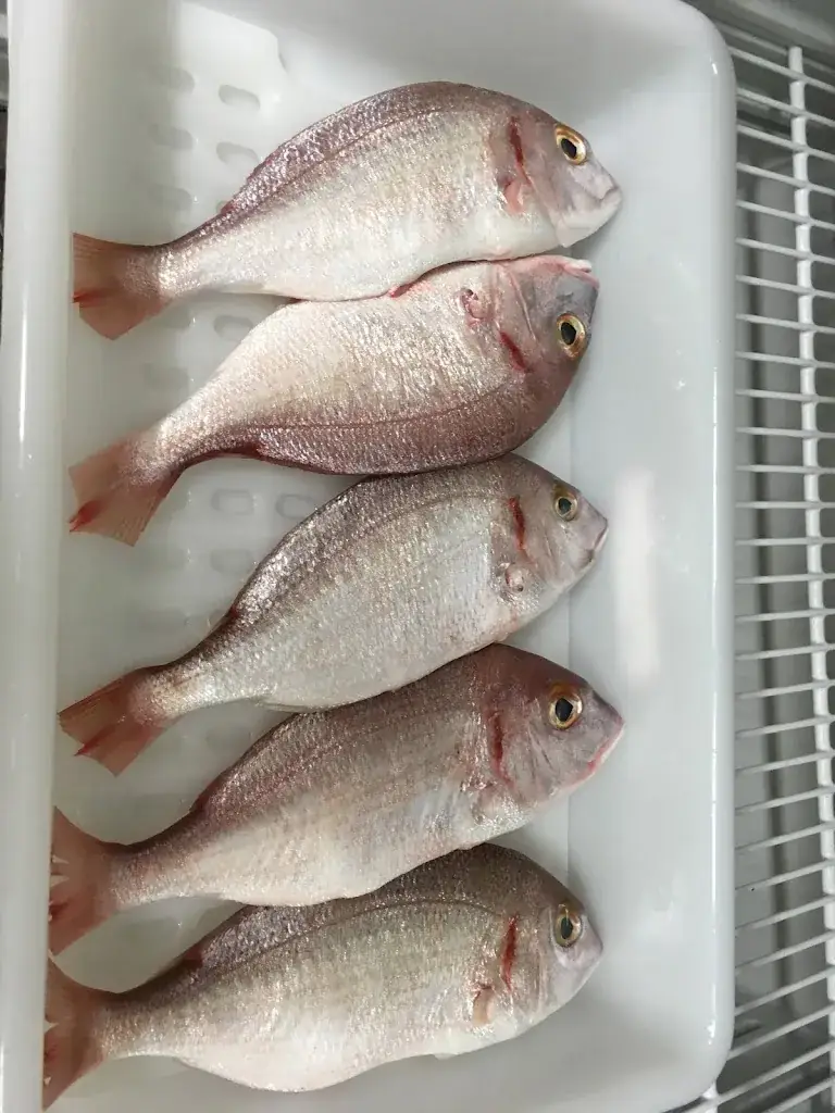 Menu_La Gourmandine_Tallard_image_4