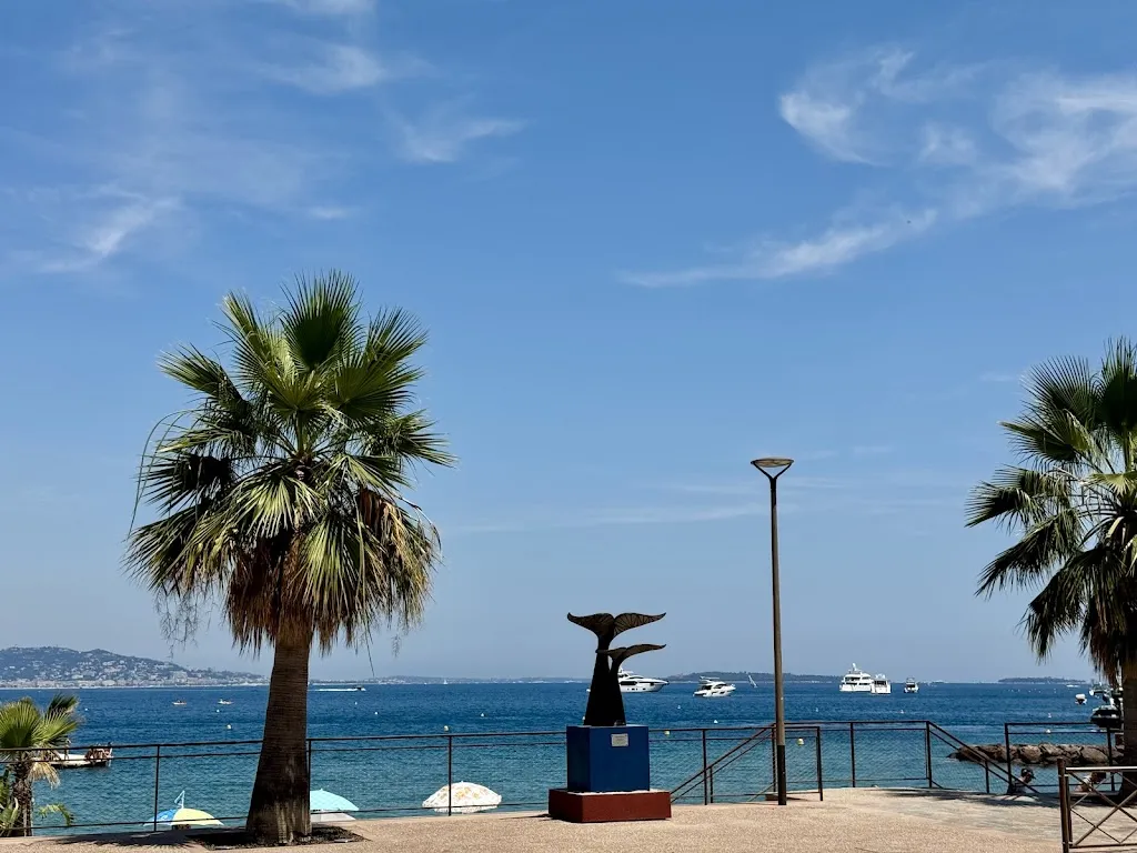 Richard Bates_Les Voiles De Théoule_Théoule-sur-Mer_review