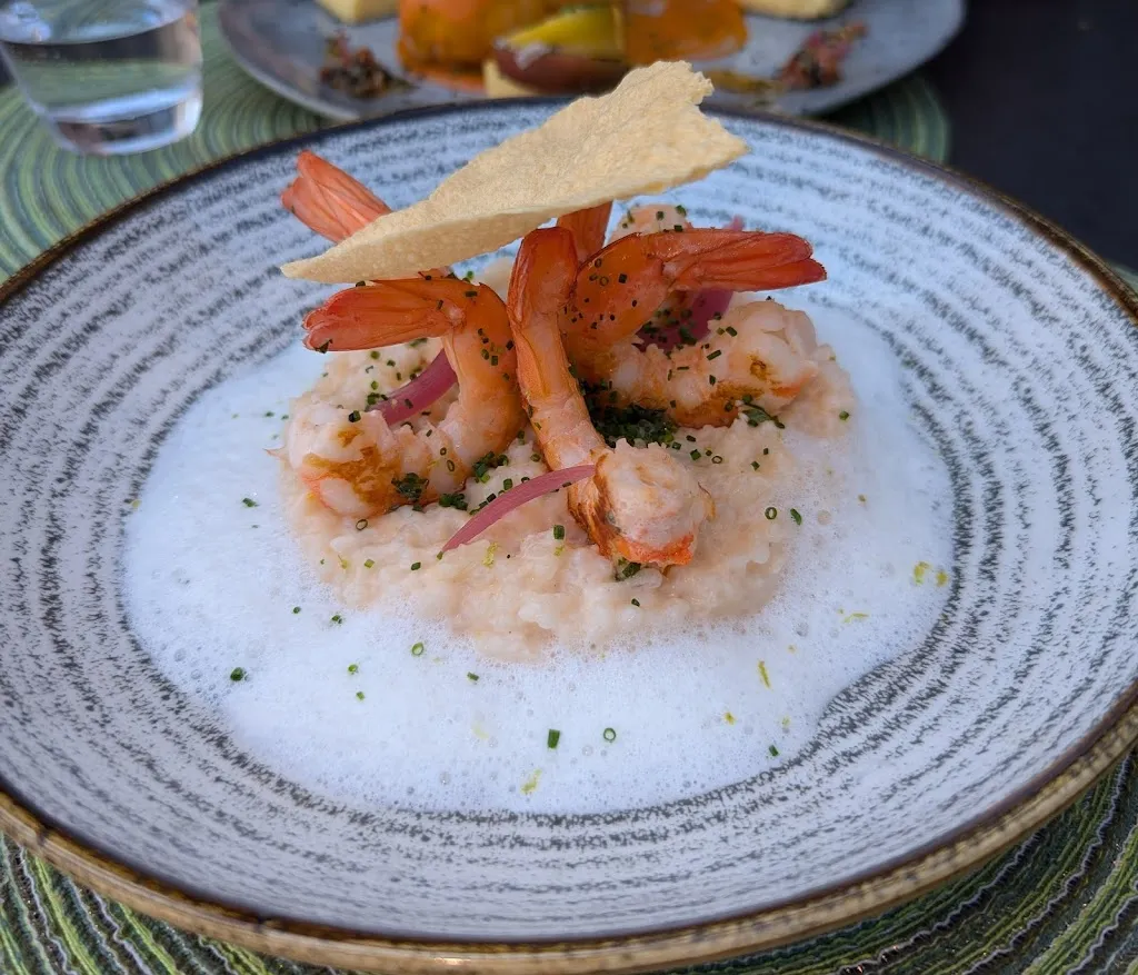 Alain Zijlstra_Origin_Six-Fours-les-Plages_review