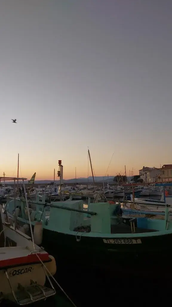 Ollie RCL_Le POINTU_Six-Fours-les-Plages_review