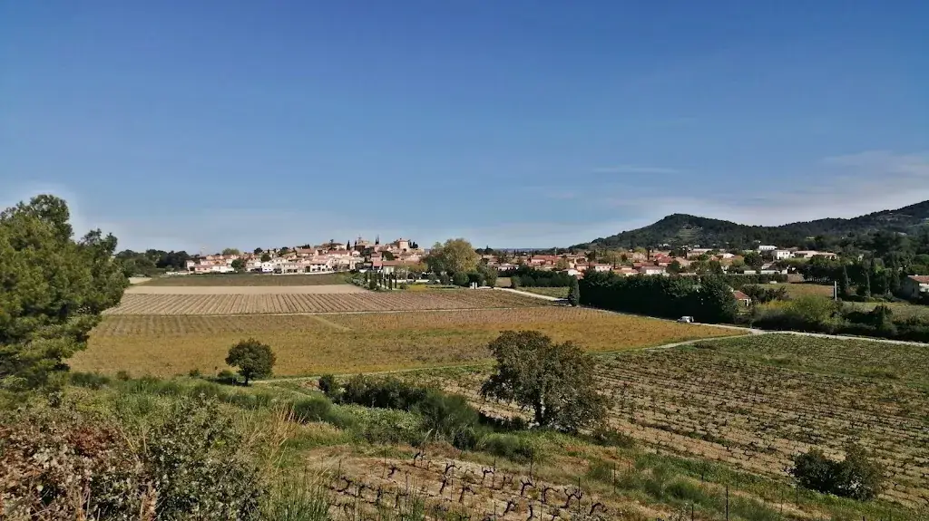 Brasserie B-SIDE_Vacqueyras_slider_image_3