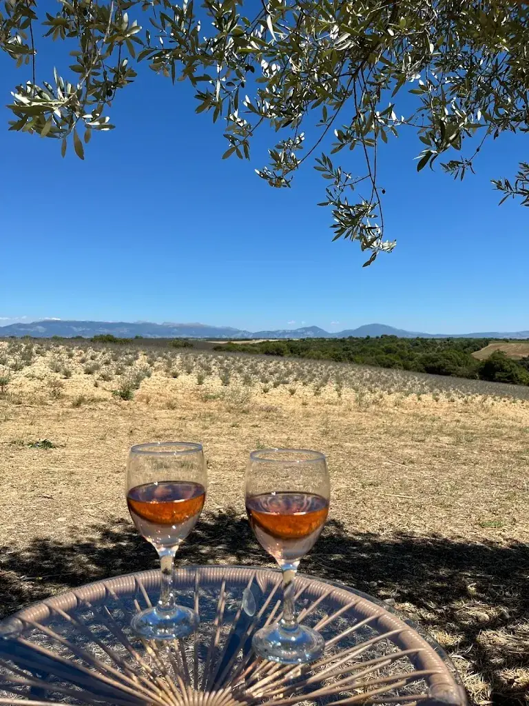 Lucas Pazdur_Les cousins en provence_Valensole_review