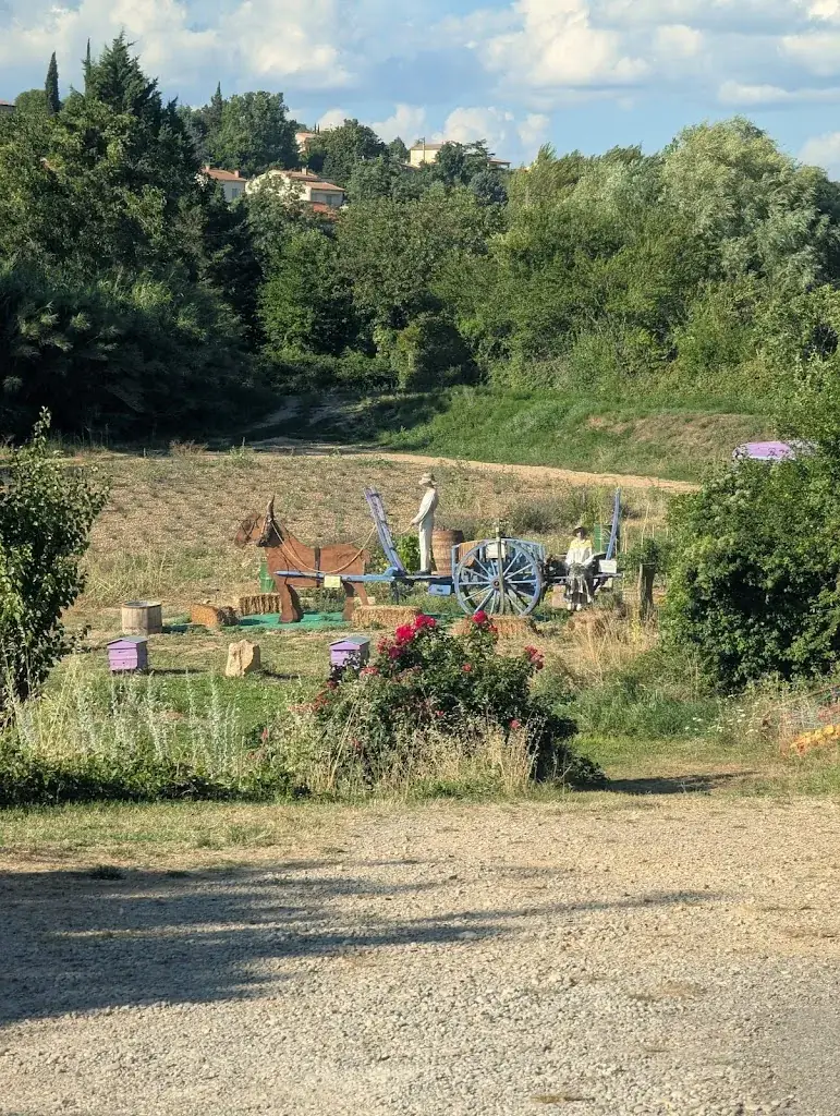 Francesco Maria La Cara_Musée de la Lavande_Valensole_review