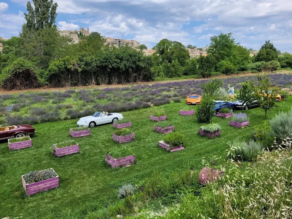 tomo n_Musée de la Lavande_Valensole_review