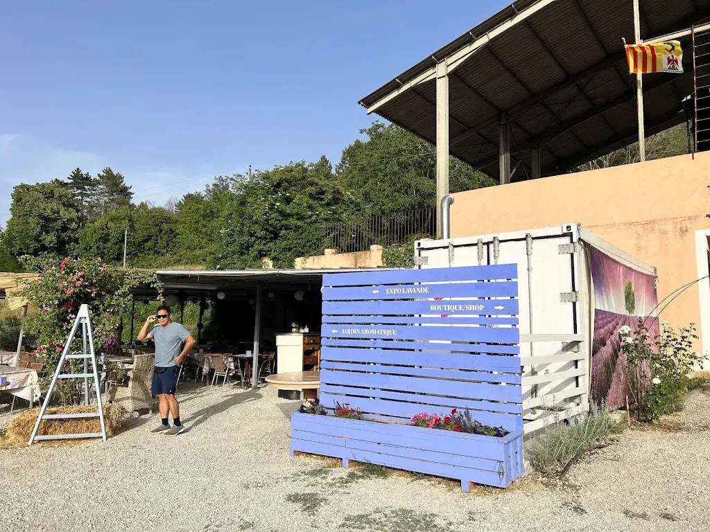 Elyz P_Musée de la Lavande_Valensole_review