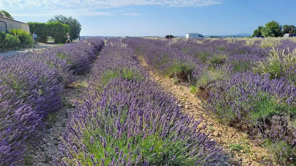 Musée de la Lavande_Valensole_slider_image_3