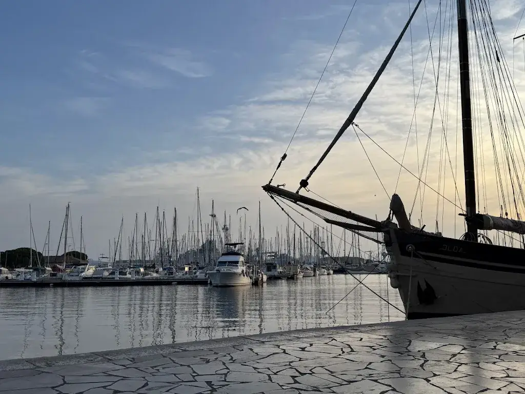 Fredrik Almström_Brasserie La Tortue Port de Toulon_Toulon_recensione