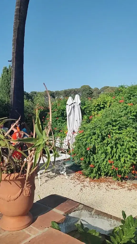 Les Pins Penchés - Restaurant gastronomique, Mariage et réception_Toulon_slider_image_2