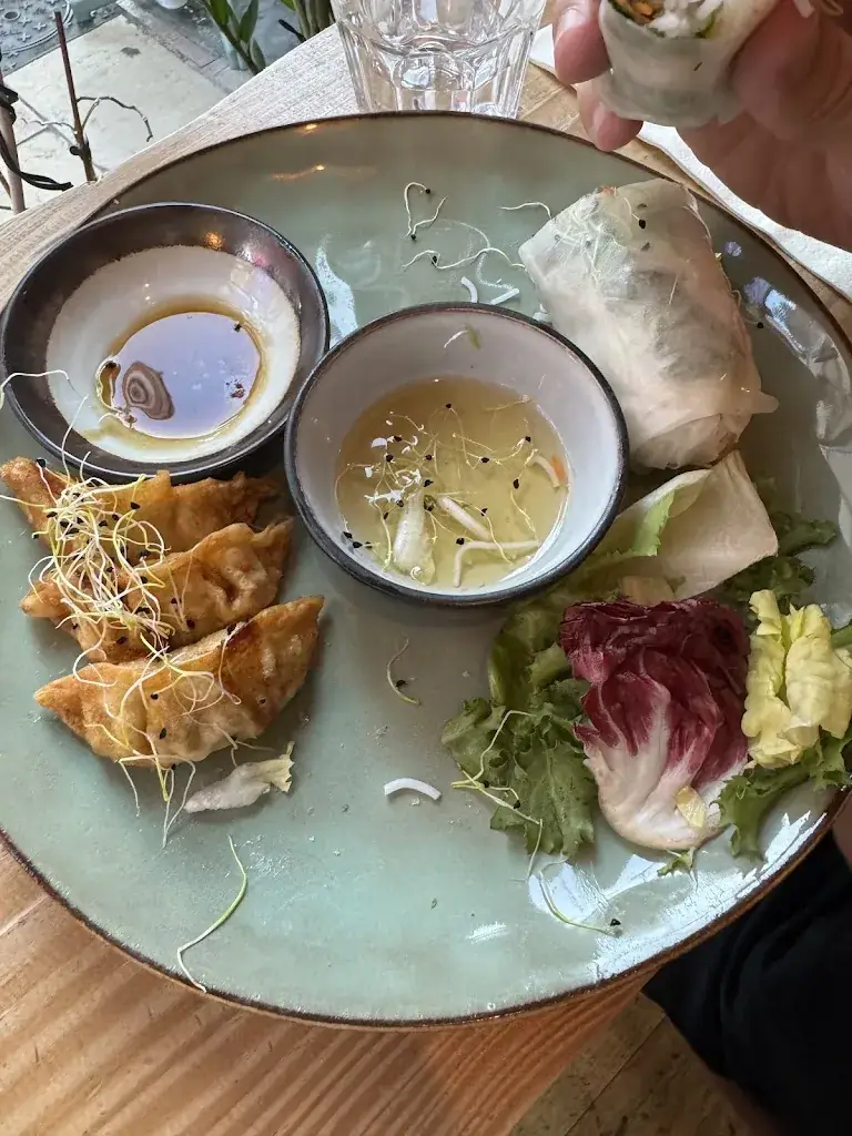 Zoë Shedden_Hôi An_Toulon_review