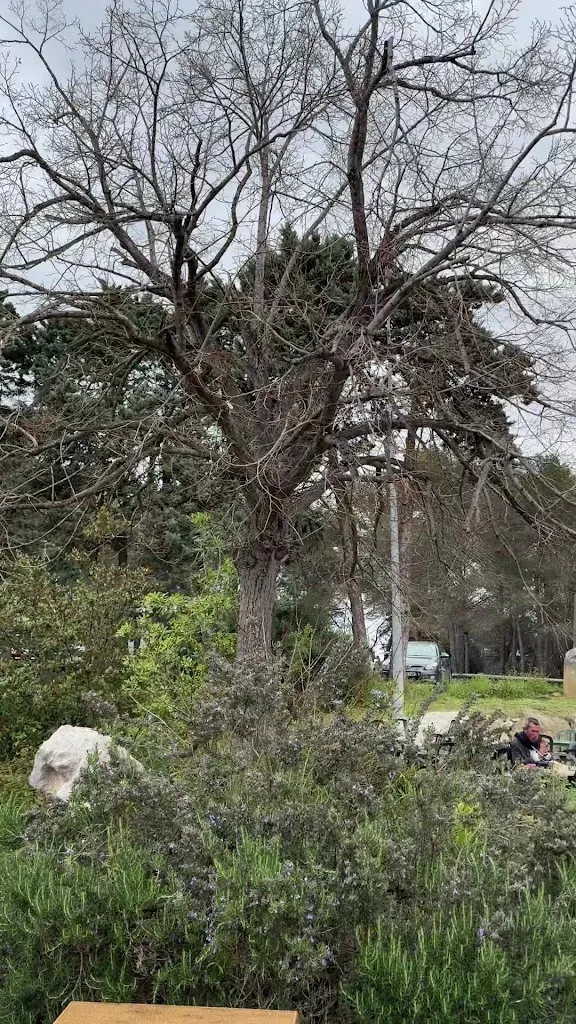 Ma Dame Nova_Valbonne_slider_image_2