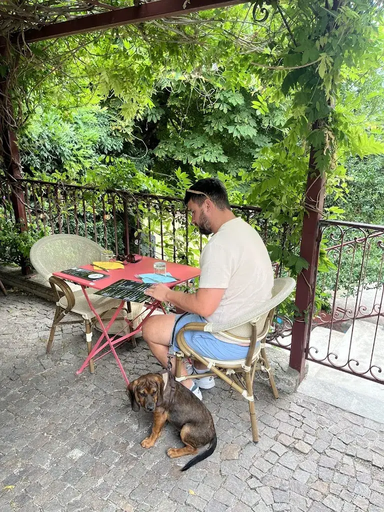 Solène Coelho_Le Patio Gourmand_Montmaur_recensione