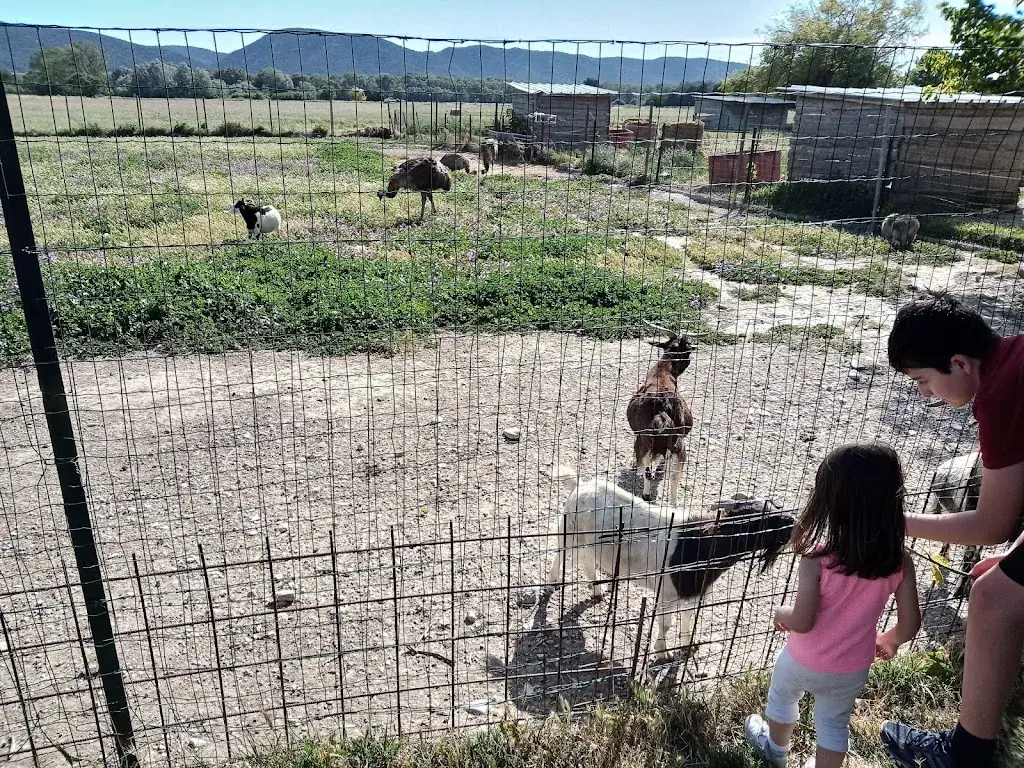 Filippo Cesare Ferrara_Hostel La Bastide Neuve_Villelaure_review