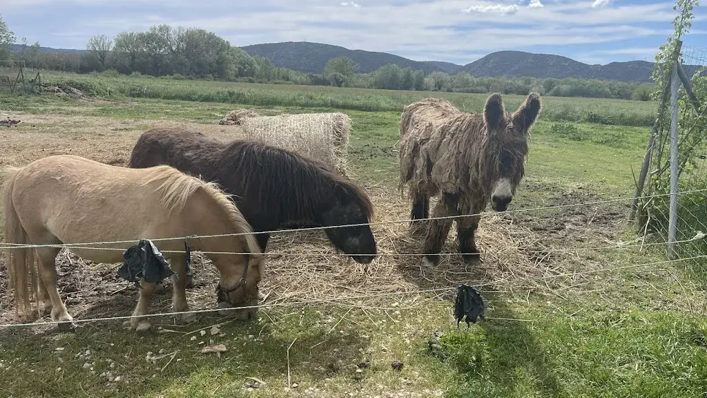 Gérard Mir_Hostel La Bastide Neuve_Villelaure_review