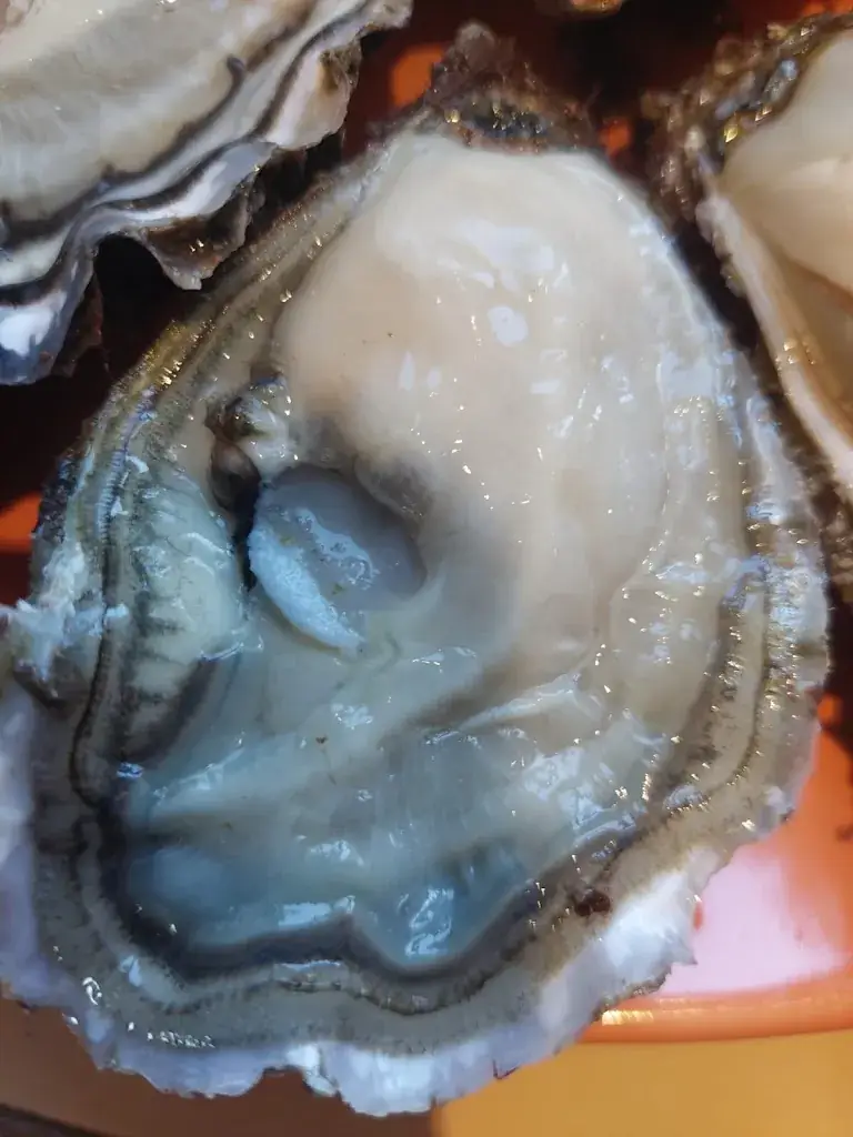 Menu_Huitrière de Venelles_Venelles_image_6