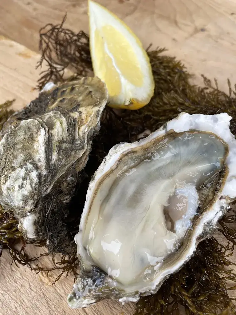 Huitrière de Venelles_Venelles_slider_image_3