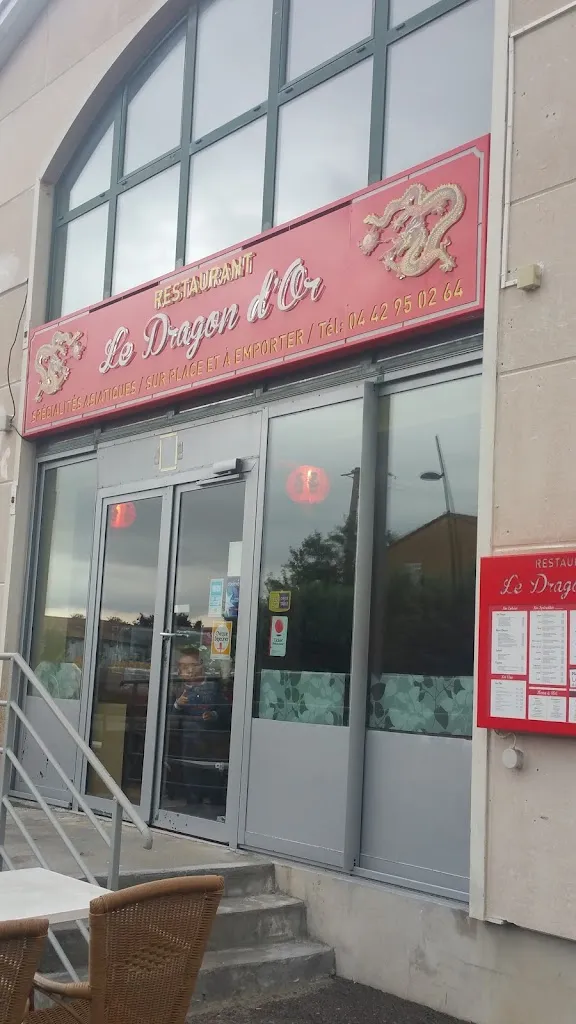 Patricia Rama_Le Dragon d'or_Venelles_review