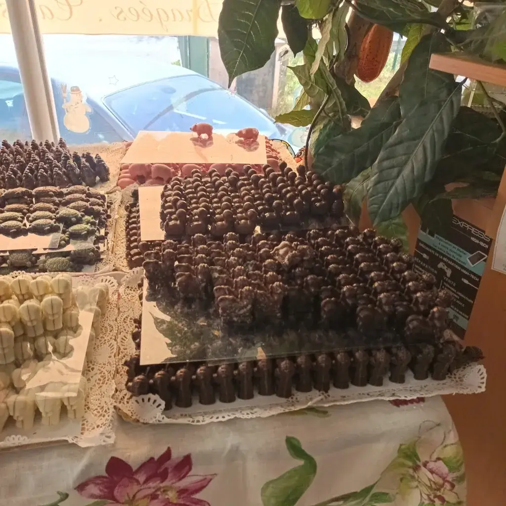 Magali Moulin_CHOCOLATERIE EYNARD LE MOULIN DU CACAO_Venelles_review