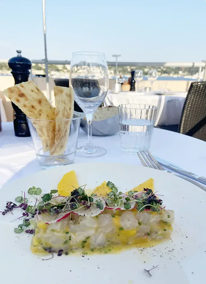 Michael Foust_Mayssa Beach_Villefranche-sur-Mer_review