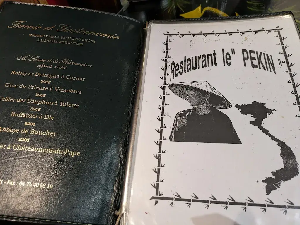 Stephanie Jones_Restaurant le Pékin_Privas_review