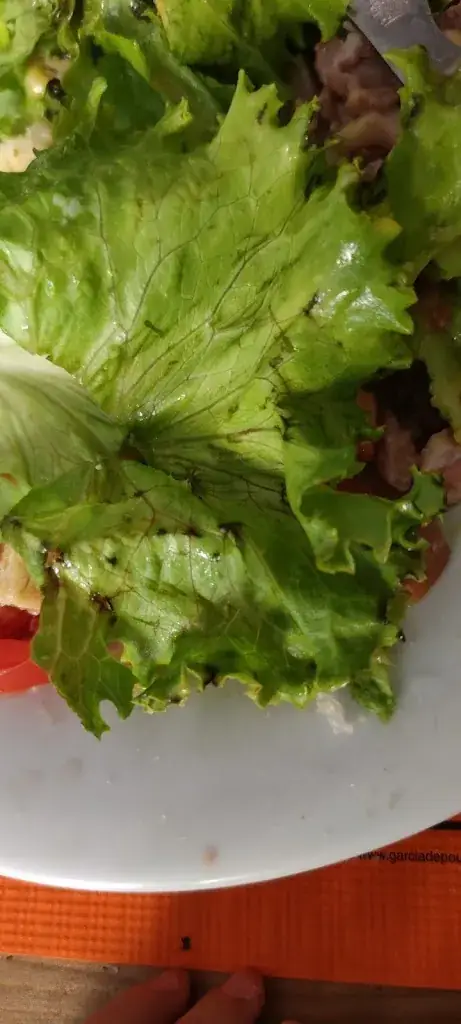 Menu_Le Cantou_Riom-ès-Montagnes_image_8