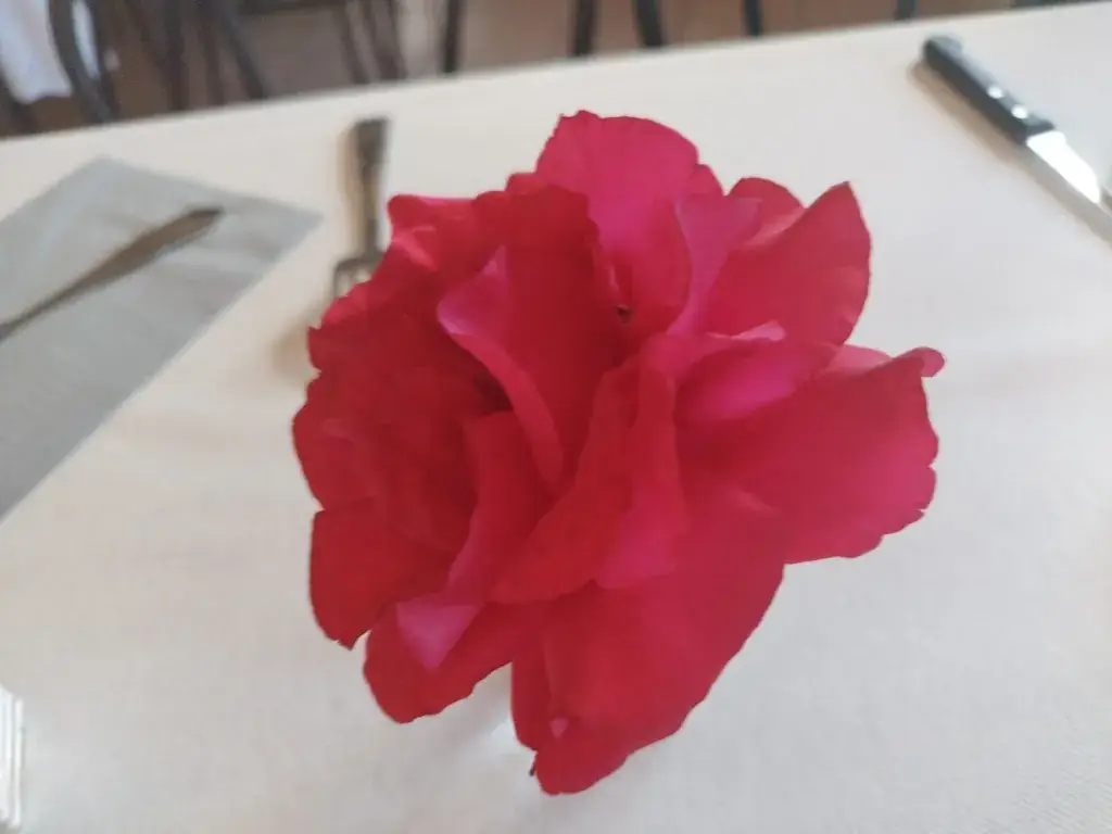 Salomon Barzilai_L'Exubérands_Renaison_review