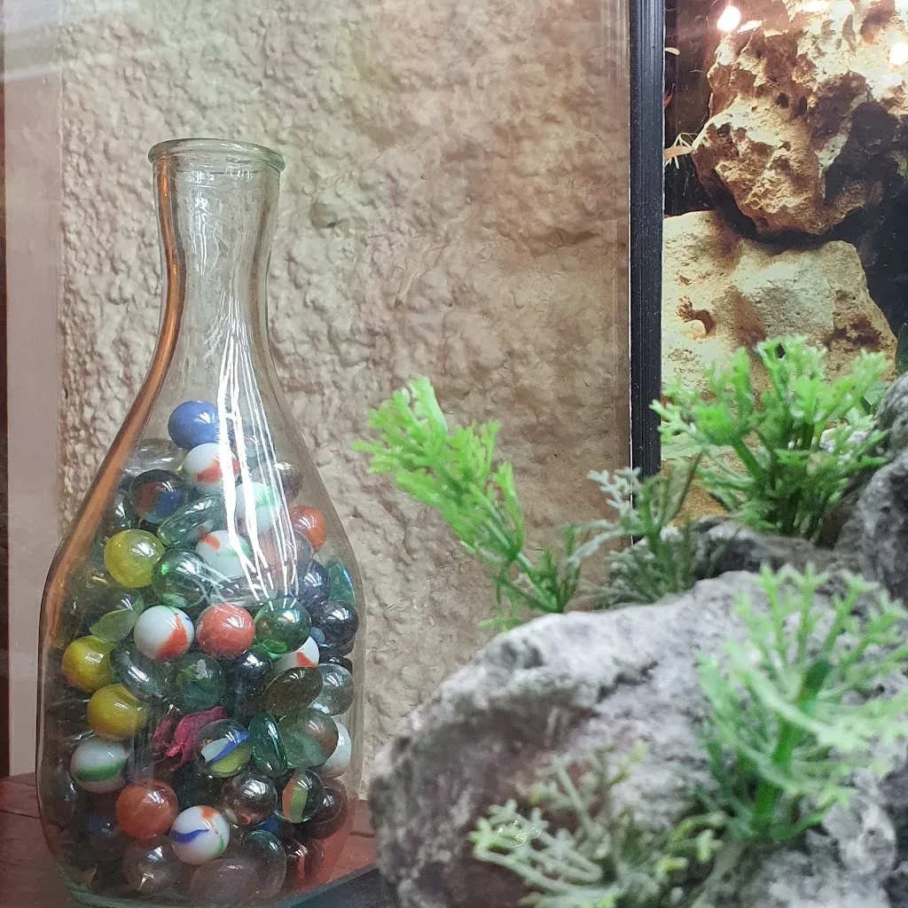 Restaurant Pizzeria la Toupine_Annonay_slider_image_2