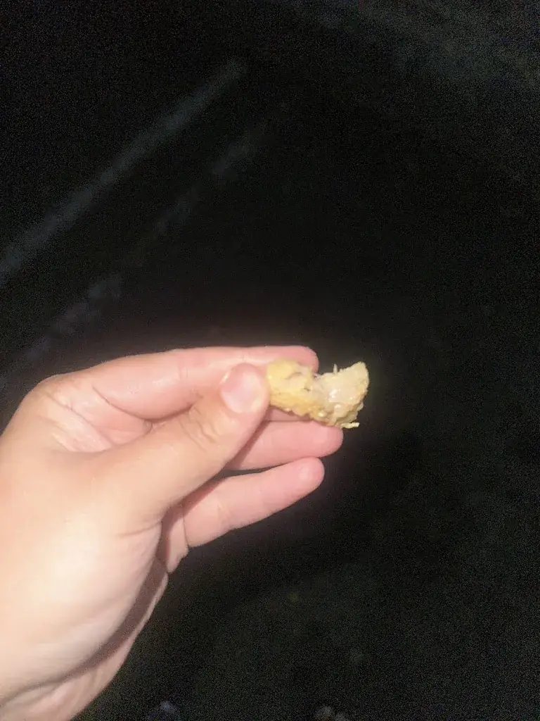 Camélia_Sam Pizz'_Roche-la-Molière_recensione